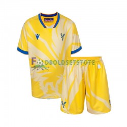 Crystal Palace Trøje Udebane 2024-2025 Kort ærmer ,Børn Fodboldsæt