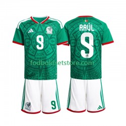 Mexico Trøje Raul Jimenez 9 Hjemmebane World Cup 2026 Kort ærmer ,Børn Fodboldsæt