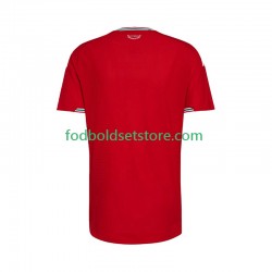 Wales Trøje Hjemmebane 2026 Kort ærmer ,Mænd