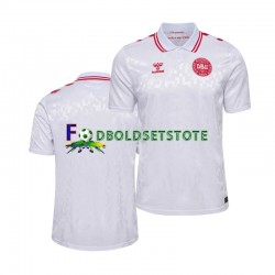 Danmark Trøje Udebane Euro 2024 Kort ærmer ,Mænd