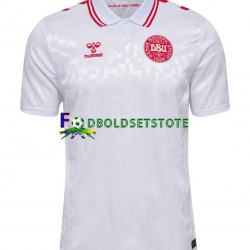 Danmark Trøje Udebane Euro 2024 Kort ærmer ,Mænd