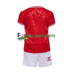 Danmark Trøje Hjemmebane Euro 2024 Kort ærmer ,Børn Fodboldsæt