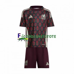 Mexico Trøje Hjemmebane Copa America 2024 Kort ærmer ,Børn Fodboldsæt