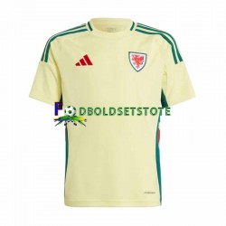 Wales Trøje Udebane 2024 Kort ærmer ,Mænd