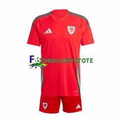 Wales Trøje Hjemmebane 2024 Kort ærmer ,Børn Fodboldsæt