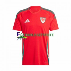 Wales Trøje Hjemmebane 2024 Kort ærmer ,Mænd