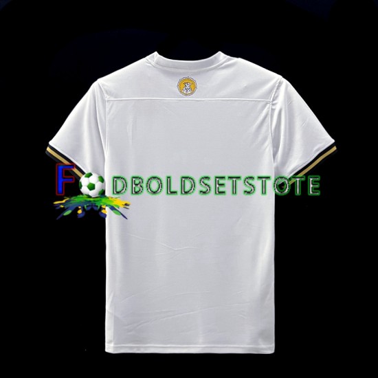 AIK Trøje Special Hjemmebane 2023 Kort ærmer ,Mænd