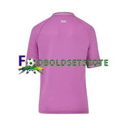 Irland Trøje Målmand Hjemmebane 2023 Kort ærmer ,Mænd