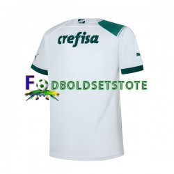 Palmeiras Trøje Udebane 2023-2024 Kort ærmer ,Mænd
