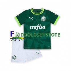 Palmeiras Trøje Hjemmebane 2023-2024 Kort ærmer ,Børn Fodboldsæt