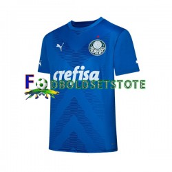 Palmeiras Trøje Målmand Hjemmebane 2023-2024 Kort ærmer ,Mænd