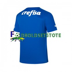 Palmeiras Trøje Målmand Hjemmebane 2023-2024 Kort ærmer ,Mænd