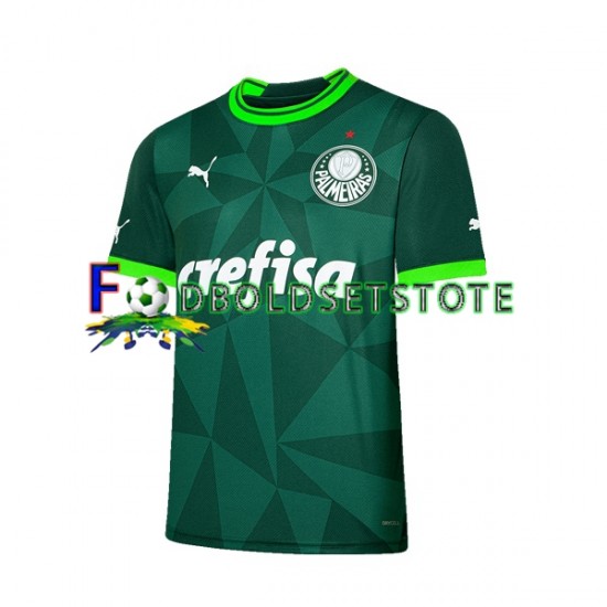 Palmeiras Trøje Hjemmebane 2023-2024 Kort ærmer ,Mænd Palmeiras Trøje Hjemmebane 2023-2024 Kort ærmer ,Mænd