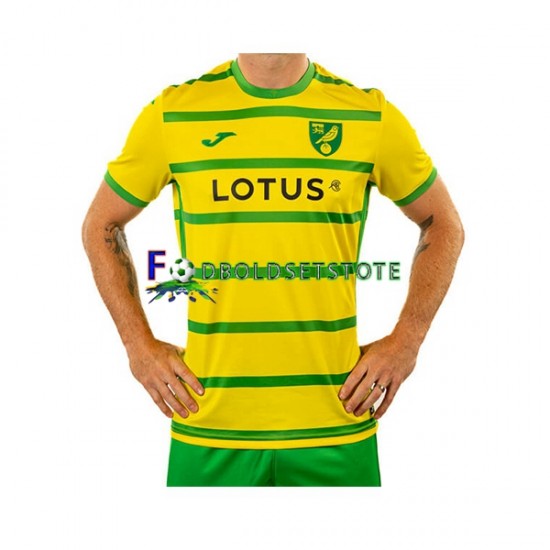 Norwich City Trøje Hjemmebane 2023-2024 Kort ærmer ,Mænd Norwich City Trøje Hjemmebane 2023-2024 Kort ærmer ,Mænd