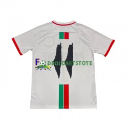 Club Deportivo Palestino Trøje Center Stripre Udebane 2024-2025 Kort ærmer ,Mænd