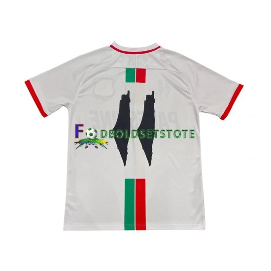 Club Deportivo Palestino Trøje Center Stripre Udebane 2024-2025 Kort ærmer ,Mænd