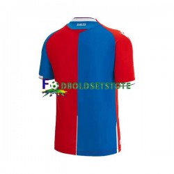 Crystal Palace Trøje Hjemmebane 2023-2024 Kort ærmer ,Mænd