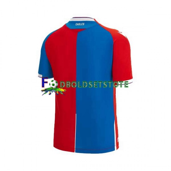 Crystal Palace Trøje Hjemmebane 2023-2024 Kort ærmer ,Mænd