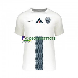 Slovenien Trøje Hjemmebane Euro 2024 Kort ærmer ,Mænd