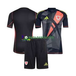 Wales Trøje Målmand Hjemmebane 2024 Kort ærmer ,Børn Fodboldsæt