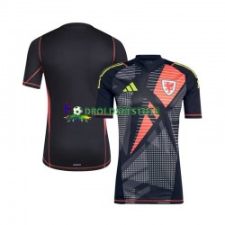 Wales Trøje Målmand Hjemmebane 2024 Kort ærmer ,Mænd