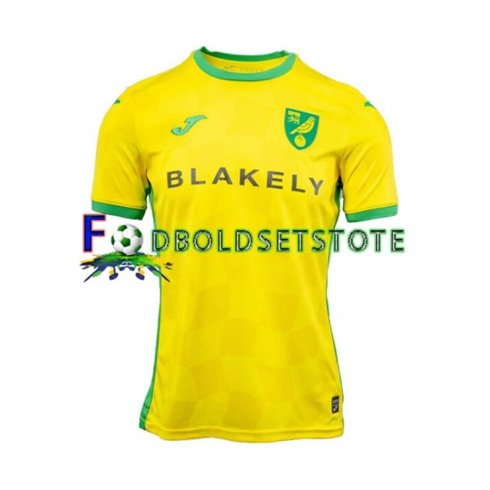 Norwich City Trøje Hjemmebane 2024-2025 Kort ærmer ,Mænd Norwich City Trøje Hjemmebane 2024-2025 Kort ærmer ,Mænd