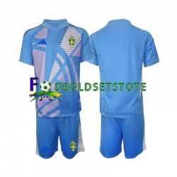 Sverige Trøje Blå Målmand Udebane 2024 Kort ærmer ,Børn Fodboldsæt