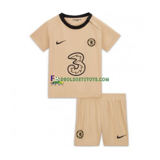2022-2023 Chelsea Trøje 3. Valg Kort ærmer ,Børn Fodboldsæt 2022-2023 Chelsea Trøje 3. Valg Kort ærmer ,Børn Fodboldsæt