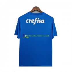 2022-2023 Palmeiras Trøje Målmand Udebane Kort ærmer ,Mænd