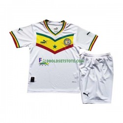 Senegal Trøje Hjemmebane World Cup 2022 Kort ærmer ,Børn Fodboldsæt
