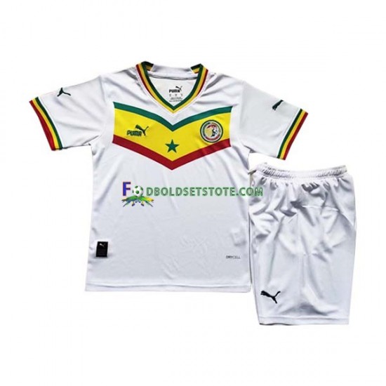Senegal Trøje Hjemmebane World Cup 2022 Kort ærmer ,Børn Fodboldsæt
