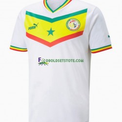 Senegal Trøje Hjemmebane World Cup 2022 Kort ærmer ,Mænd